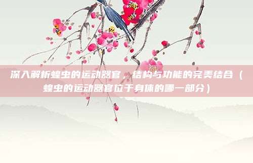 深入解析蝗虫的运动器官，结构与功能的完美结合（蝗虫的运动器官位于身体的哪一部分）