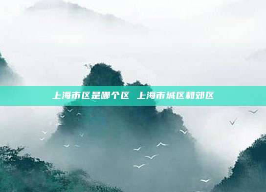 上海市区是哪个区 上海市城区和郊区