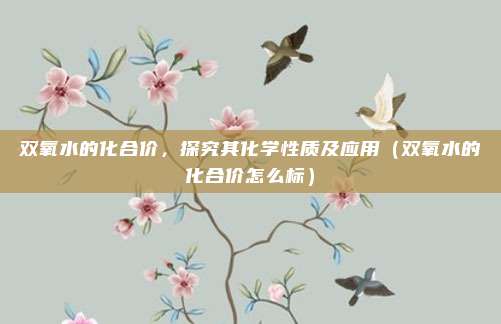 双氧水的化合价，探究其化学性质及应用（双氧水的化合价怎么标）