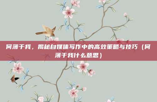 何薄于我,揭秘自媒体写作中的高效策略与技巧(何薄于我什么意思)
