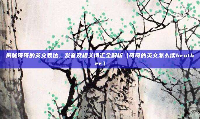 揭秘哥哥的英文表达，发音及相关词汇全解析（哥哥的英文怎么读brother）