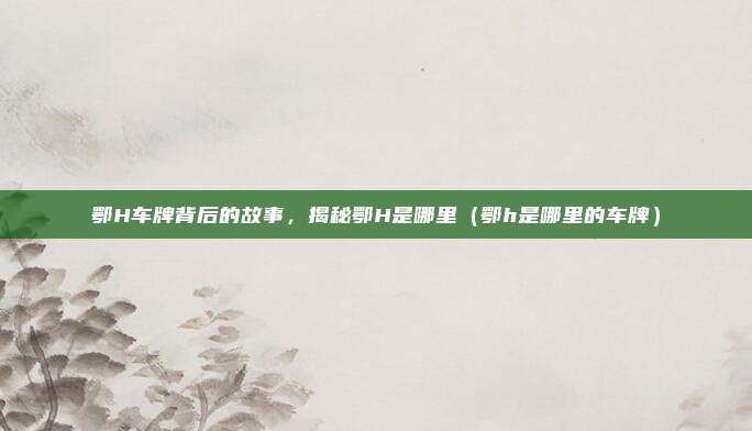 鄂H车牌背后的故事，揭秘鄂H是哪里（鄂h是哪里的车牌）