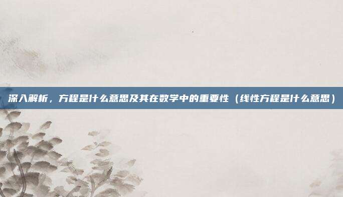 深入解析，方程是什么意思及其在数学中的重要性（线性方程是什么意思）