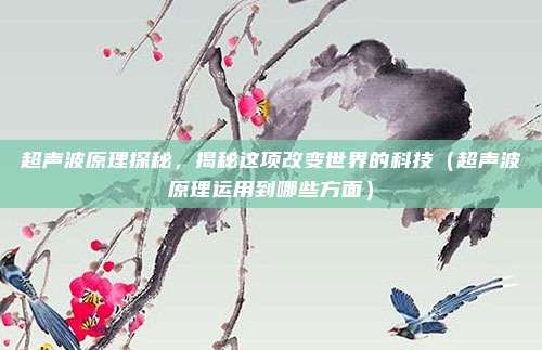 超声波原理探秘,揭秘这项改变世界的科技(超声波原理运用到哪些方面)