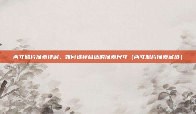 两寸照片像素详解，如何选择合适的像素尺寸（两寸照片像素多少）
