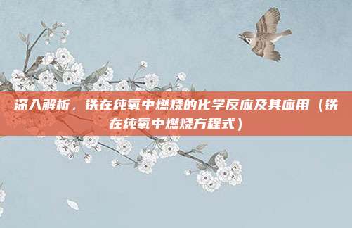 深入解析，铁在纯氧中燃烧的化学反应及其应用（铁在纯氧中燃烧方程式）