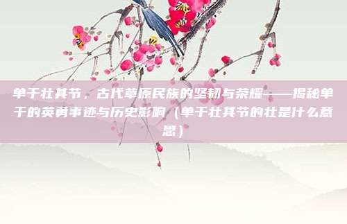 单于壮其节，古代草原民族的坚韧与荣耀——揭秘单于的英勇事迹与历史影响（单于壮其节的壮是什么意思）