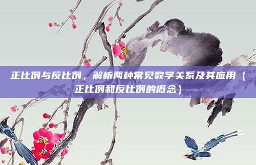 正比例与反比例，解析两种常见数学关系及其应用（正比例和反比例的概念）