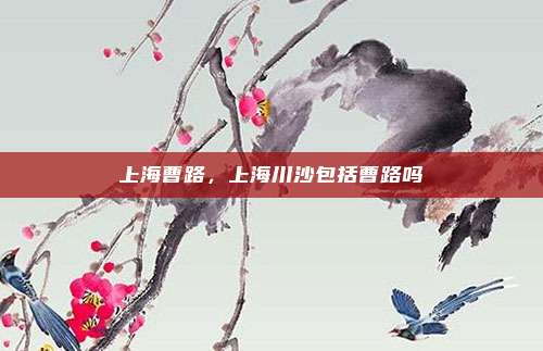 上海曹路,上海川沙包括曹路吗