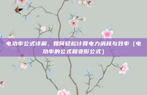 电功率公式详解，如何轻松计算电力消耗与效率（电功率的公式和变形公式）