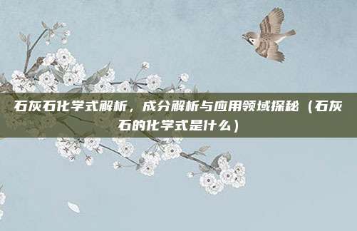石灰石化学式解析，成分解析与应用领域探秘（石灰石的化学式是什么）