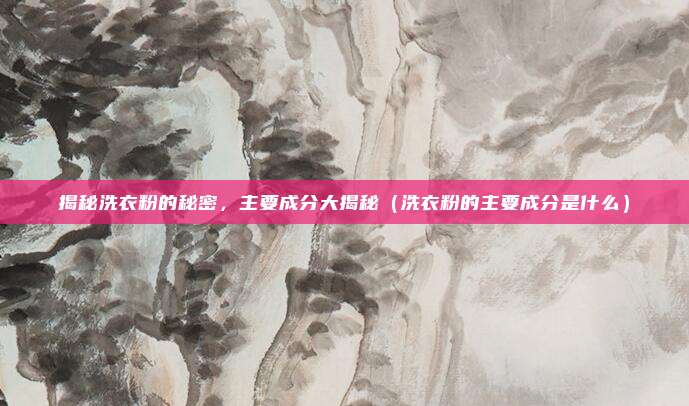 揭秘洗衣粉的秘密，主要成分大揭秘（洗衣粉的主要成分是什么）