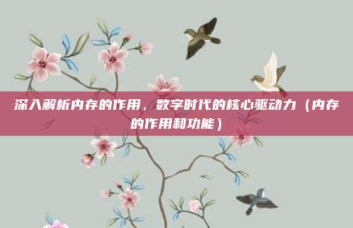 深入解析内存的作用，数字时代的核心驱动力（内存的作用和功能）