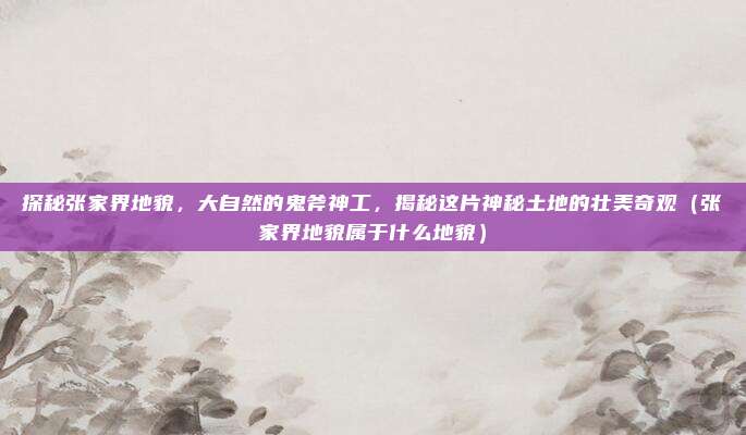 探秘张家界地貌，大自然的鬼斧神工，揭秘这片神秘土地的壮美奇观（张家界地貌属于什么地貌）