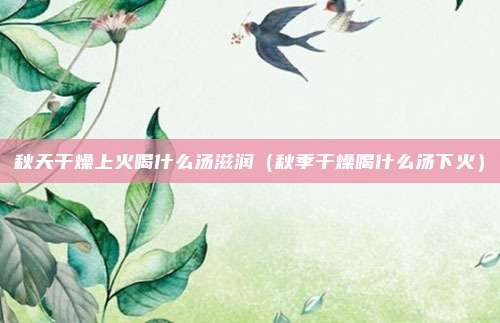 秋天干燥上火喝什么汤滋润（秋季干燥喝什么汤下火）