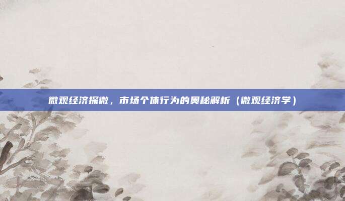 微观经济探微，市场个体行为的奥秘解析（微观经济学）