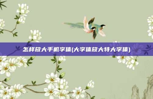 怎样放大手机字体(大字体放大特大字体)
