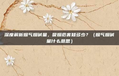 深度解析烟气烟碱量，吸烟危害知多少？（烟气烟碱量什么意思）