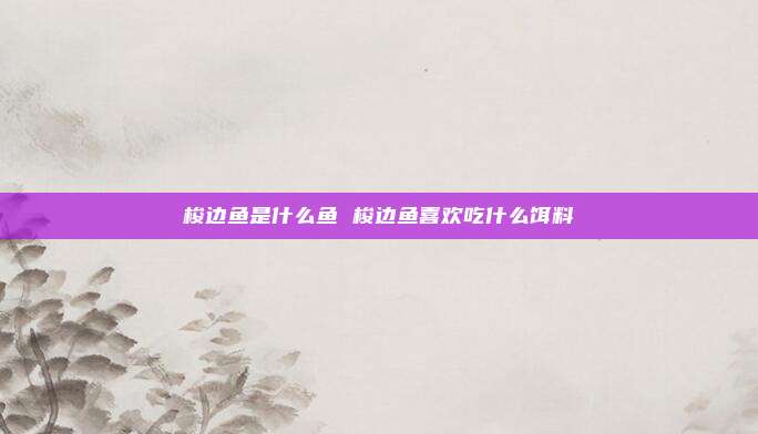 梭边鱼是什么鱼 梭边鱼喜欢吃什么饵料
