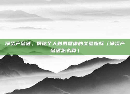净资产总额，揭秘个人财务健康的关键指标（净资产总额怎么算）