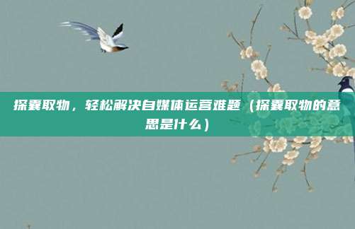 探囊取物，轻松解决自媒体运营难题（探囊取物的意思是什么）