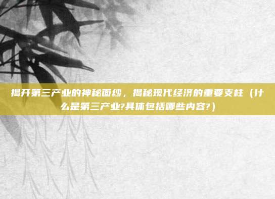 揭开第三产业的神秘面纱，揭秘现代经济的重要支柱（什么是第三产业?具体包括哪些内容?）