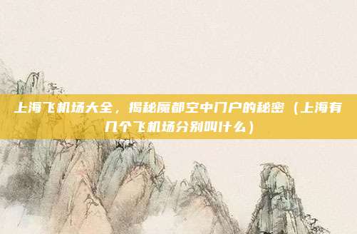 上海飞机场大全，揭秘魔都空中门户的秘密（上海有几个飞机场分别叫什么）