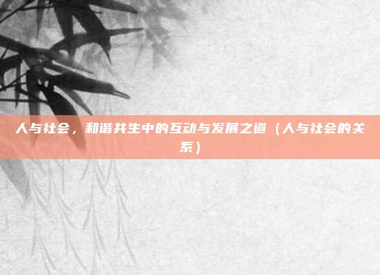 人与社会，和谐共生中的互动与发展之道（人与社会的关系）