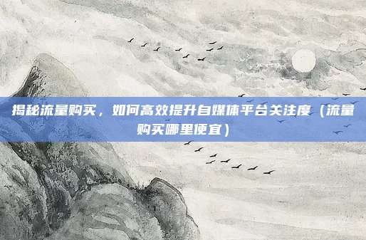 揭秘流量购买，如何高效提升自媒体平台关注度（流量购买哪里便宜）