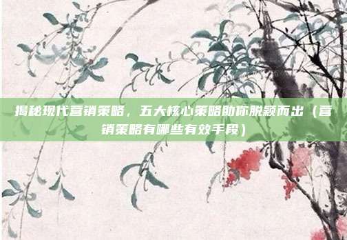 揭秘现代营销策略，五大核心策略助你脱颖而出（营销策略有哪些有效手段）