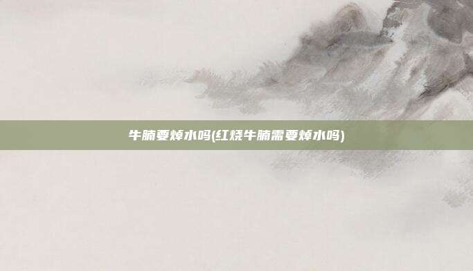 牛腩要焯水吗(红烧牛腩需要焯水吗)
