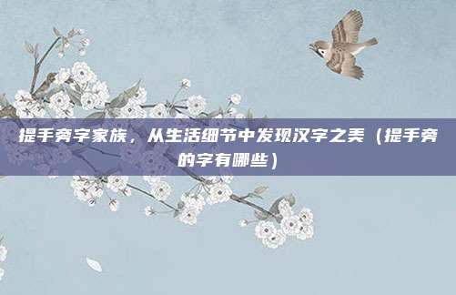 提手旁字家族，从生活细节中发现汉字之美（提手旁的字有哪些）