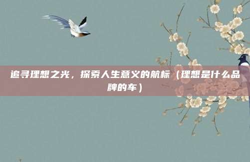 追寻理想之光，探索人生意义的航标（理想是什么品牌的车）