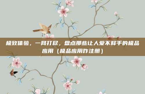 极致体验，一网打尽，盘点那些让人爱不释手的极品应用（极品应用咋注册）