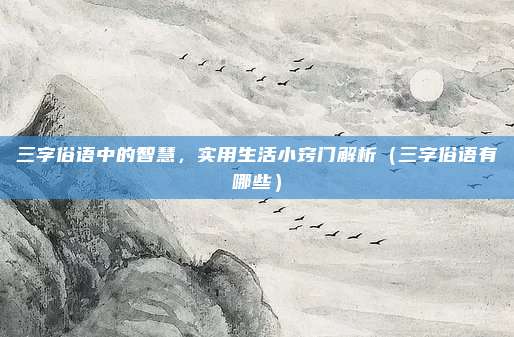 三字俗语中的智慧，实用生活小窍门解析（三字俗语有哪些）