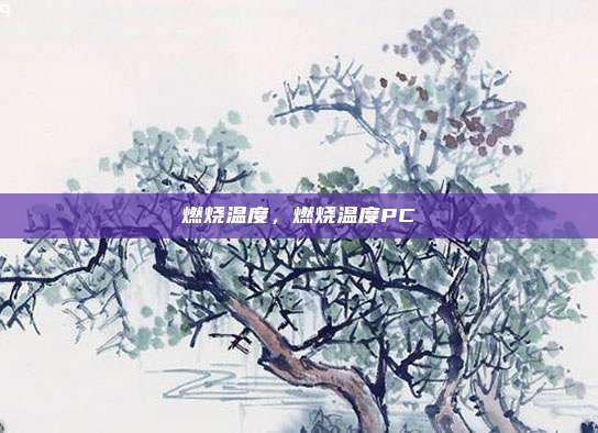 燃烧温度,燃烧温度PC