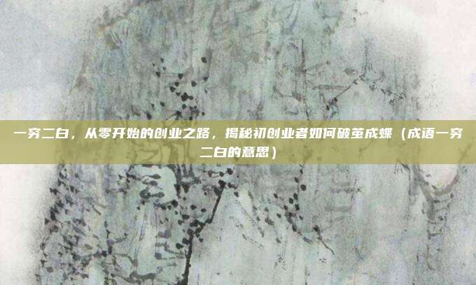 一穷二白，从零开始的创业之路，揭秘初创业者如何破茧成蝶（成语一穷二白的意思）