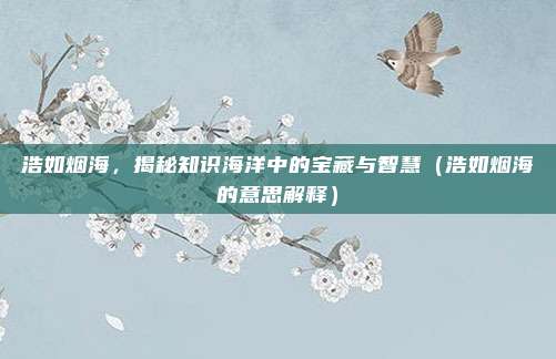 浩如烟海，揭秘知识海洋中的宝藏与智慧（浩如烟海的意思解释）