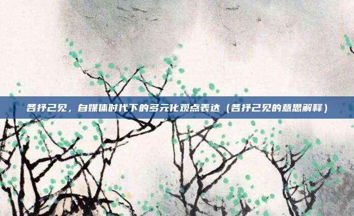 各抒己见，自媒体时代下的多元化观点表达（各抒己见的意思解释）