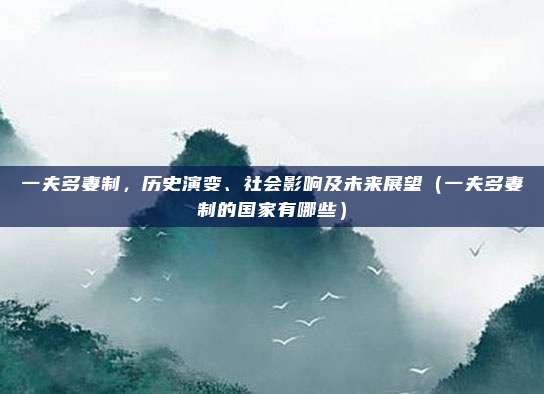 一夫多妻制，历史演变、社会影响及未来展望（一夫多妻制的国家有哪些）