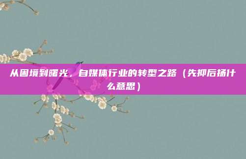 从困境到曙光，自媒体行业的转型之路（先抑后扬什么意思）
