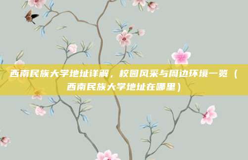 西南民族大学地址详解，校园风采与周边环境一览（西南民族大学地址在哪里）
