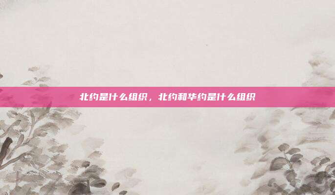 北约是什么组织,北约和华约是什么组织