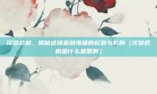 次贷危机，揭秘这场金融海啸的起源与影响（次贷危机是什么意思啊）