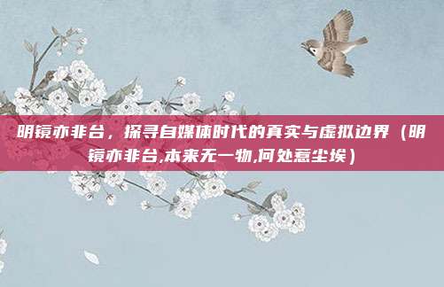 明镜亦非台，探寻自媒体时代的真实与虚拟边界（明镜亦非台,本来无一物,何处惹尘埃）