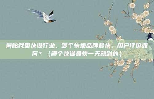 揭秘我国快递行业，哪个快递品牌最快，用户评价如何？（哪个快递最快一天就到的）