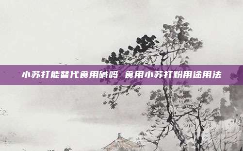 小苏打能替代食用碱吗 食用小苏打粉用途用法