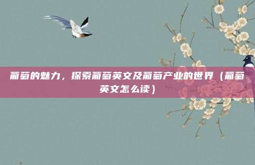 葡萄的魅力,探索葡萄英文及葡萄产业的世界(葡萄英文怎么读)