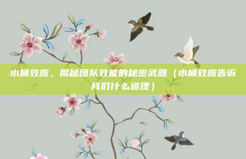 水桶效应，揭秘团队效能的秘密武器（水桶效应告诉我们什么道理）