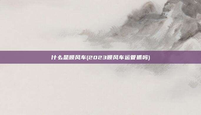 什么是顺风车(2023顺风车运管抓吗)